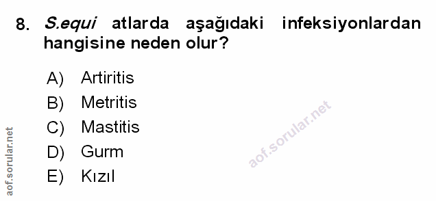 Soru 8