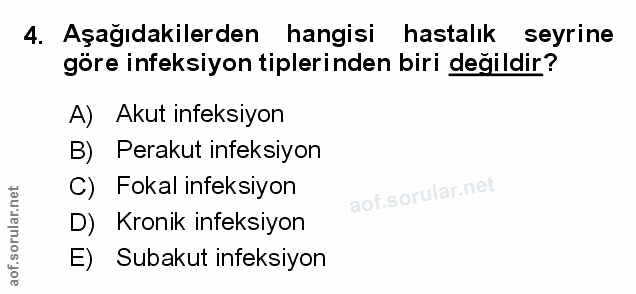 Soru 4