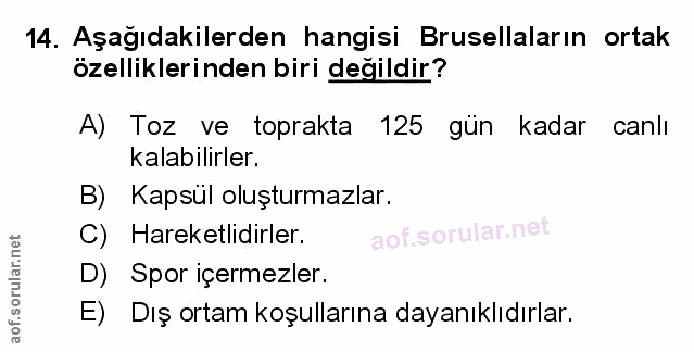 Soru 14