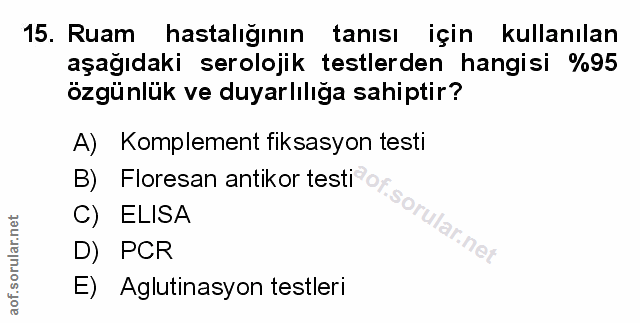 Soru 15