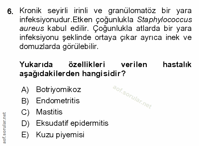 Soru 6