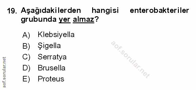 Soru 19