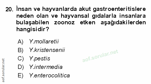 Soru 20