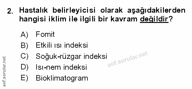 Soru 2