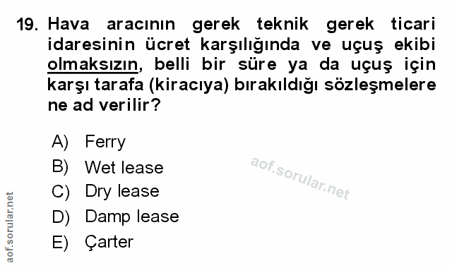 Soru 19
