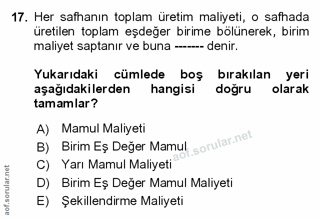 Soru 17