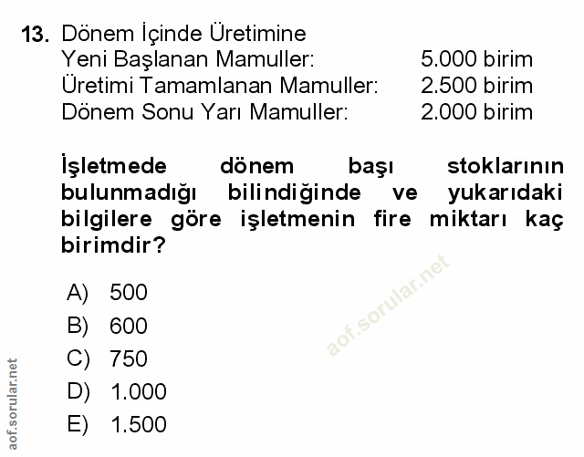 Soru 13