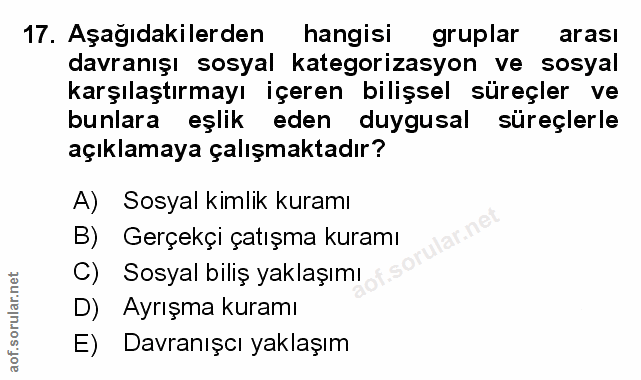 Soru 17