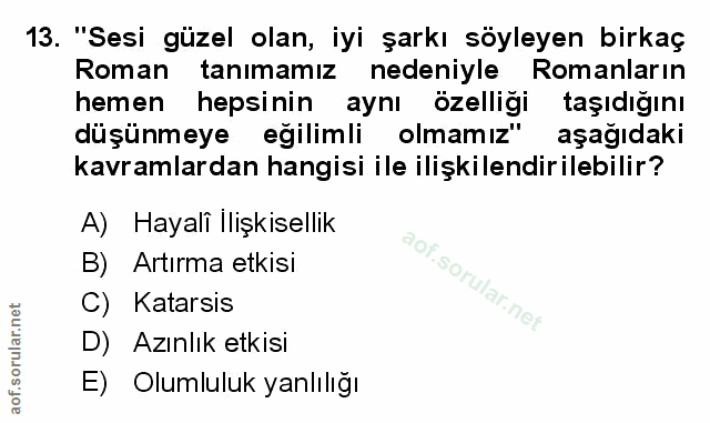 Soru 13