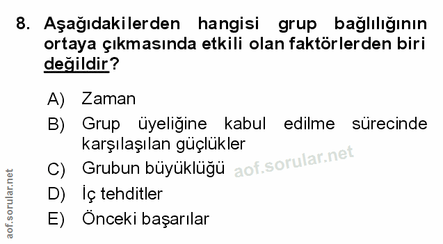 Soru 8