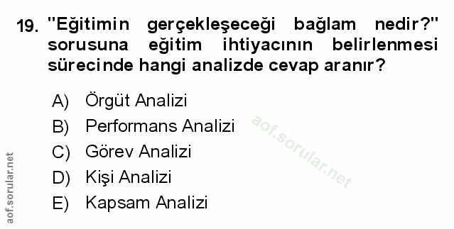 Soru 19