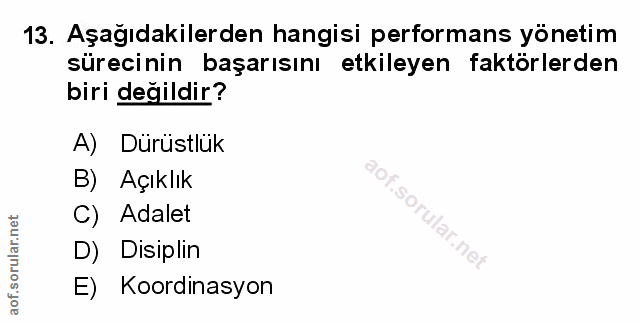 Soru 13