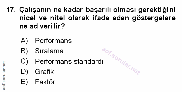 Soru 17
