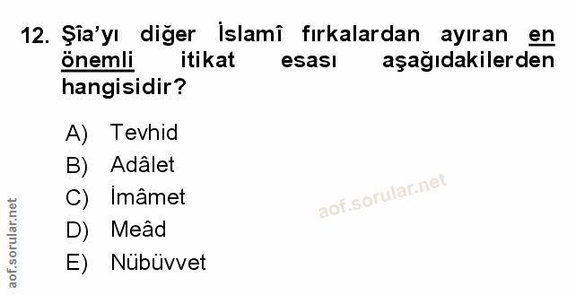 Soru 12
