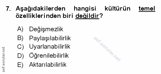 Soru 7