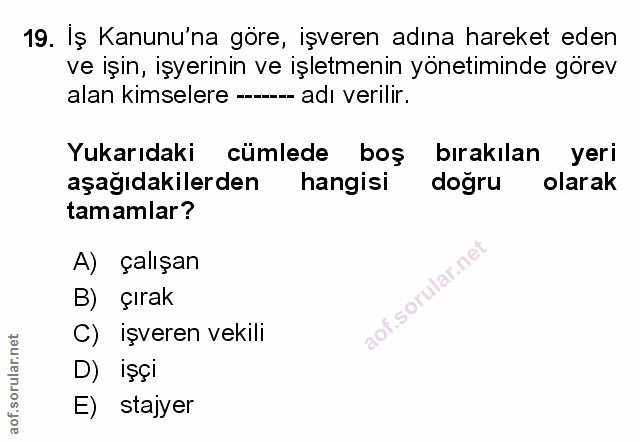 Soru 19