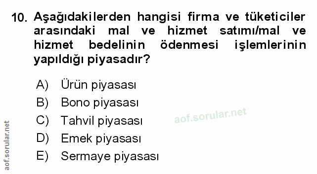 Soru 10