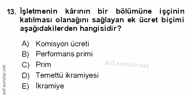 Soru 13