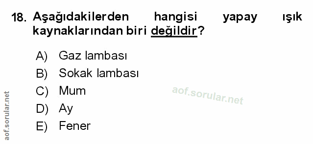 Soru 18