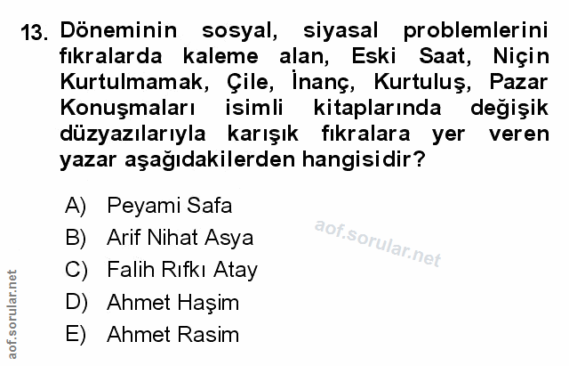 Soru 13
