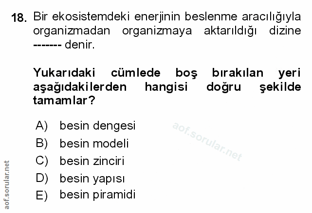 Soru 18