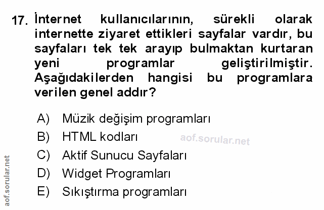Soru 17
