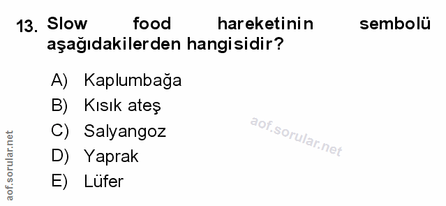 Soru 13