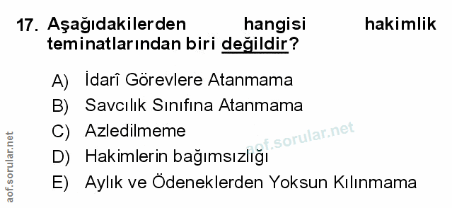 Soru 17