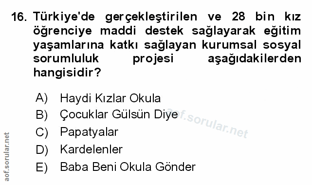Soru 16