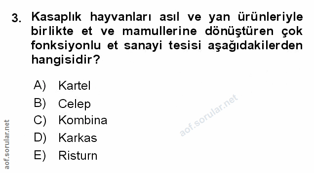 Soru 3