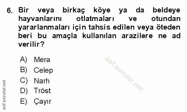 Soru 6
