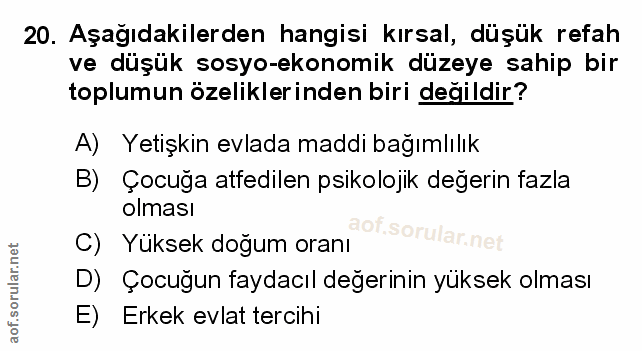 Soru 20