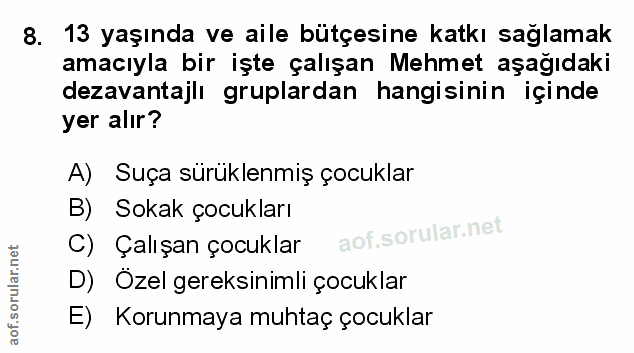 Soru 8
