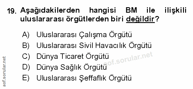 Soru 19