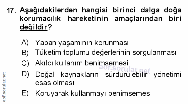 Soru 17