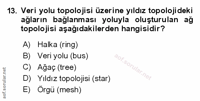 Soru 13