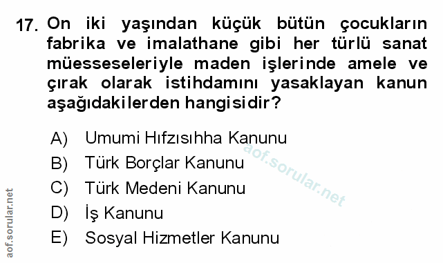 Soru 17