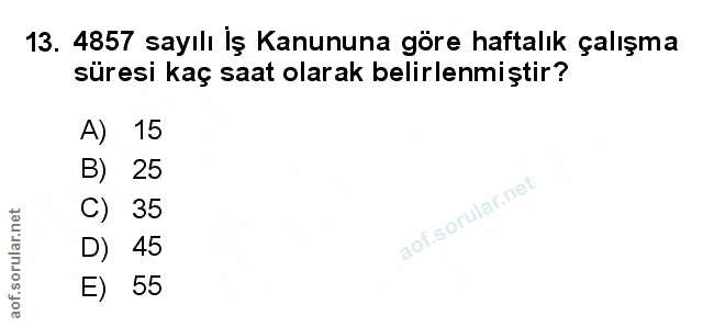 Soru 13