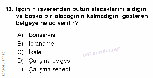 Soru 13