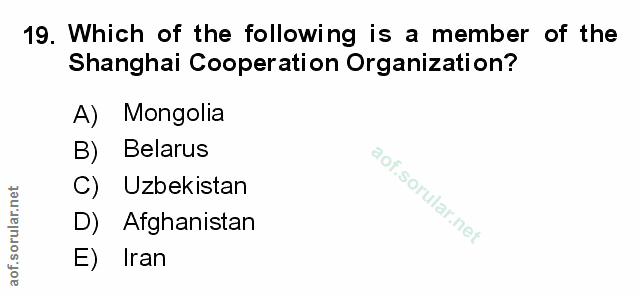 Soru 19