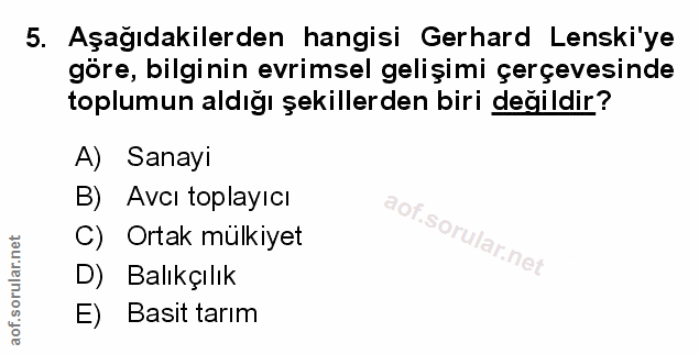 Soru 5