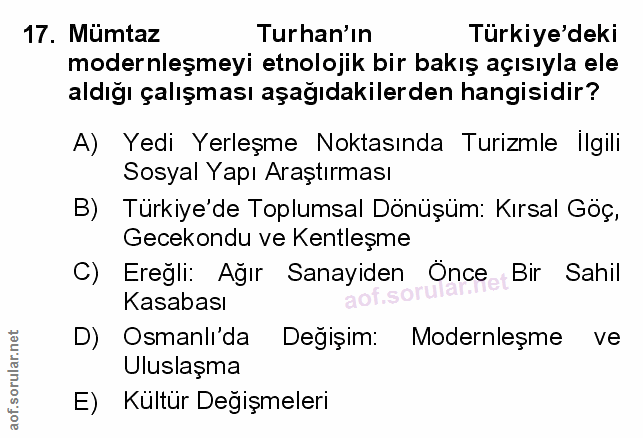 Soru 17