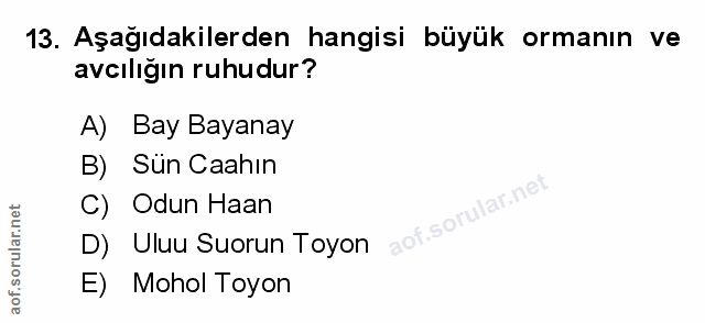 Soru 13
