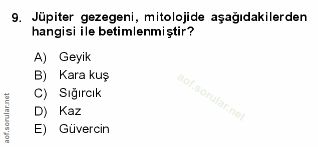 Soru 9