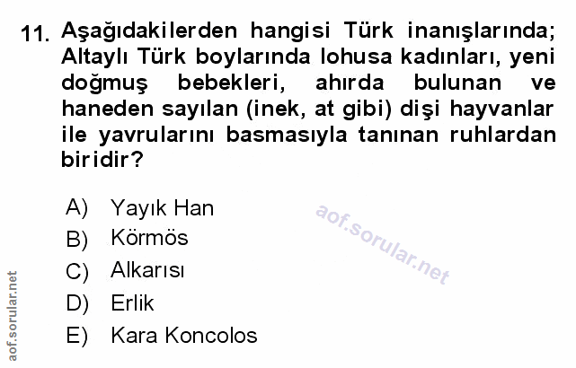 Soru 11
