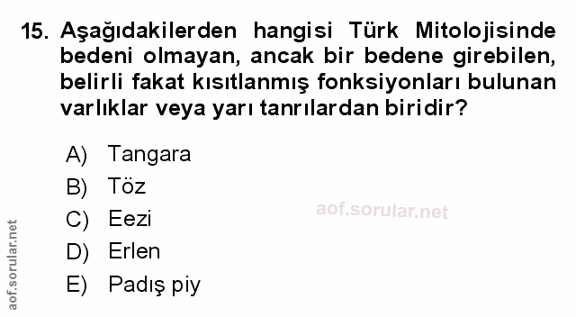 Soru 15