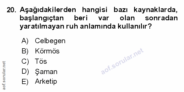 Soru 20