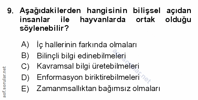 Soru 9