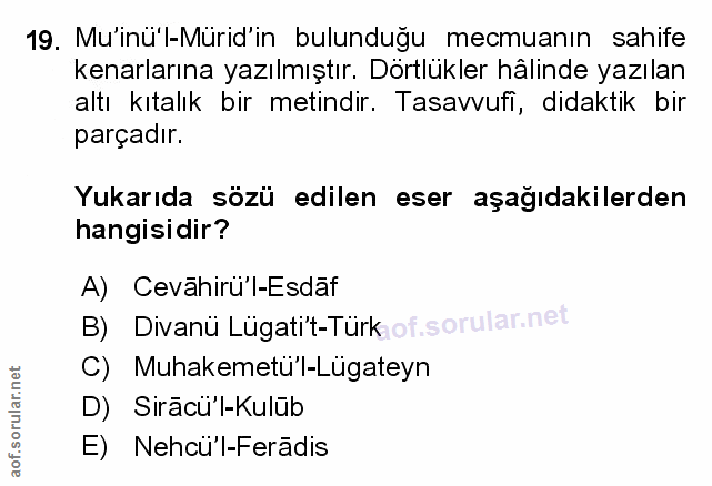 Soru 19