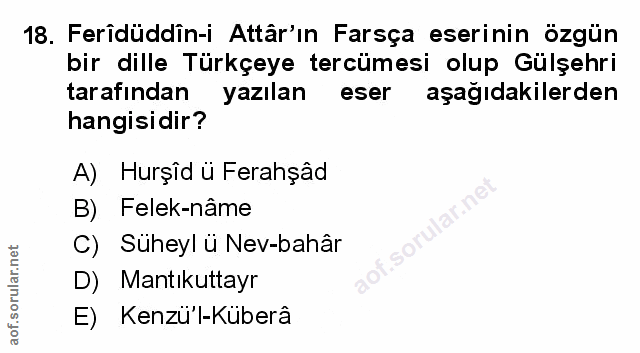 Soru 18
